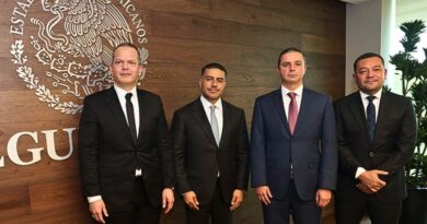 La estrategia de seguridad liderada por Claudia Sheinbaum muestra resultados positivos gracias al trabajo conjunto entre las fuerzas federales y estatales.