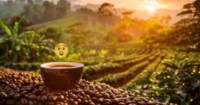 Aunque millones disfrutan del café a diario, pocos saben que puede contener toxinas como clorpirifós, mohos y aflatoxinas, dañinas para la salud humana.