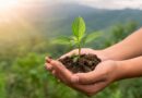 La fecha promueve la protección de los ecosistemas, el combate a la contaminación y la adopción de prácticas sostenibles para preservar el planeta.