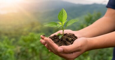La fecha promueve la protección de los ecosistemas, el combate a la contaminación y la adopción de prácticas sostenibles para preservar el planeta.