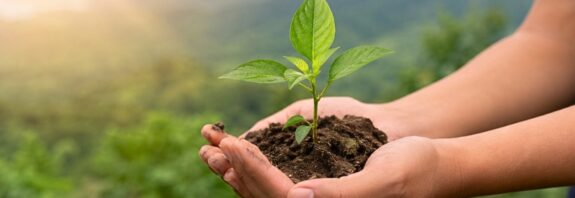 La fecha promueve la protección de los ecosistemas, el combate a la contaminación y la adopción de prácticas sostenibles para preservar el planeta.