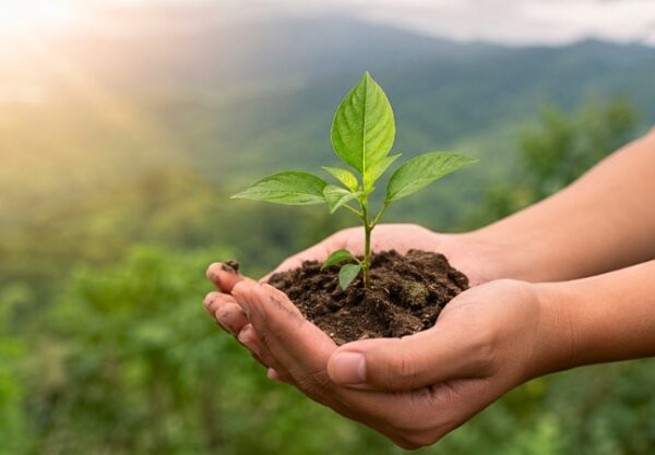 La fecha promueve la protección de los ecosistemas, el combate a la contaminación y la adopción de prácticas sostenibles para preservar el planeta.