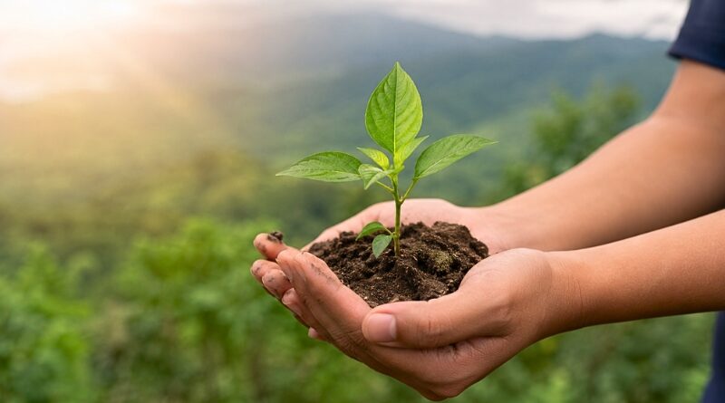 La fecha promueve la protección de los ecosistemas, el combate a la contaminación y la adopción de prácticas sostenibles para preservar el planeta.