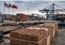 Beijing determina de forma preliminar que hubo dumping en nueces pecanas de México y EU, con márgenes de hasta 51.6% para firmas mexicanas.
