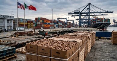 Beijing determina de forma preliminar que hubo dumping en nueces pecanas de México y EU, con márgenes de hasta 51.6% para firmas mexicanas.