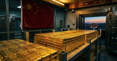 Pekín supera en ocho meses las importaciones de todo 2025 y reduce su deuda de EE.UU. a mínimos de 2008; analistas ven una estrategia de fondo.